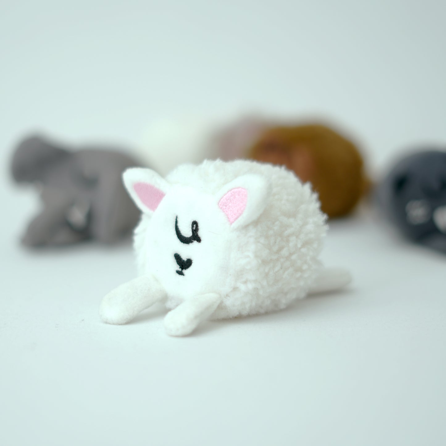 monu - sheep