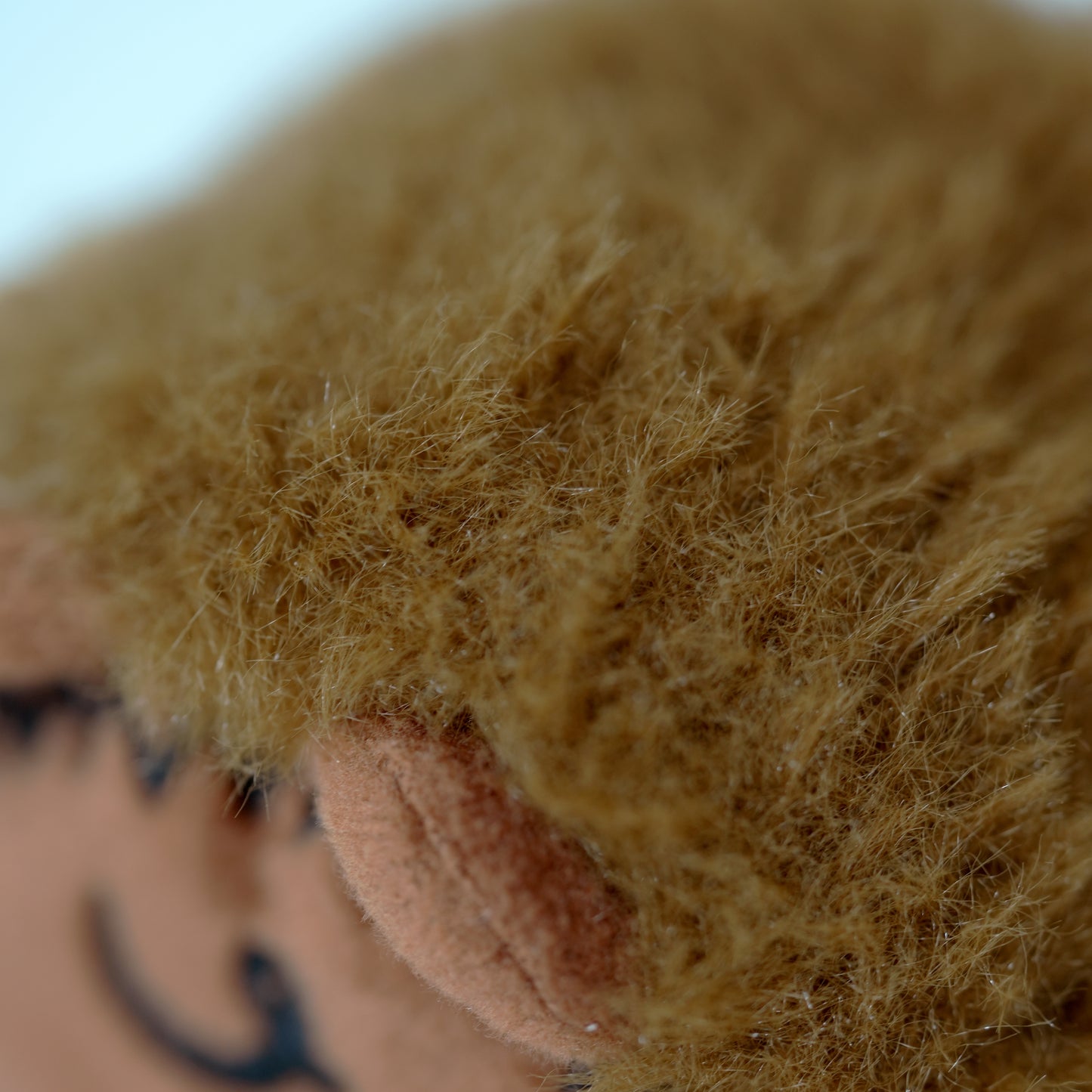 monu - lion
