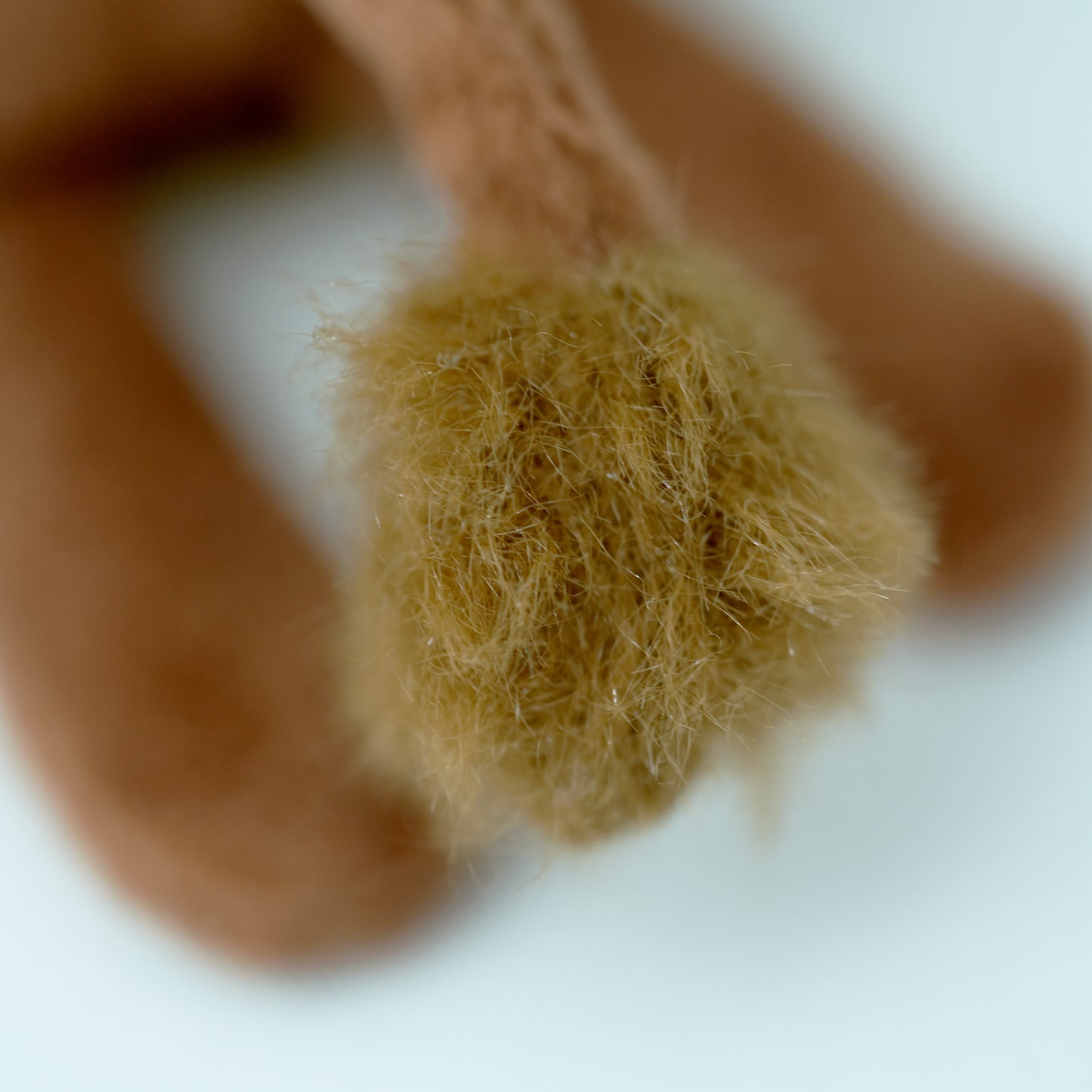 monu - lion
